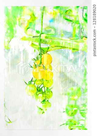 Illustration Illustration style Tomato Cherry tomato Mini tomato Fruit tomato Handmade Greenhouse 128189020