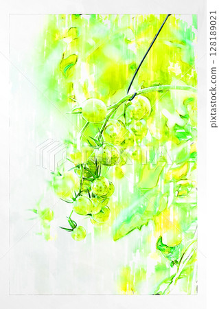 插畫 插畫風格 番茄 聖女果 迷你番茄 水果番茄 手工製作 溫室 128189021