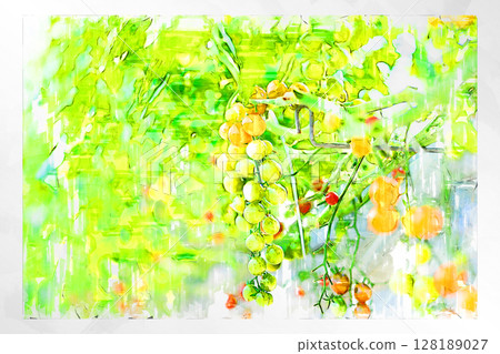 插畫 插畫風格 番茄 聖女果 迷你番茄 水果番茄 手工製作 溫室 128189027