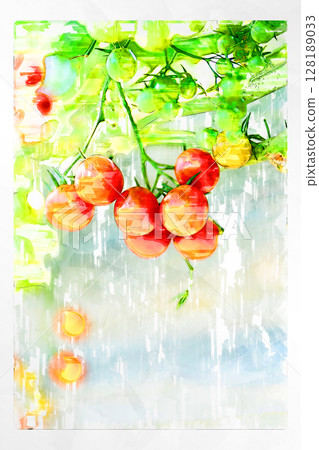 Illustration Illustration style Tomato Cherry tomato Mini tomato Fruit tomato Handmade Greenhouse Illustration Illustration style Tomato Cherry tomato Mini tomato Fruit tomato Handmade Greenhouse 128189033