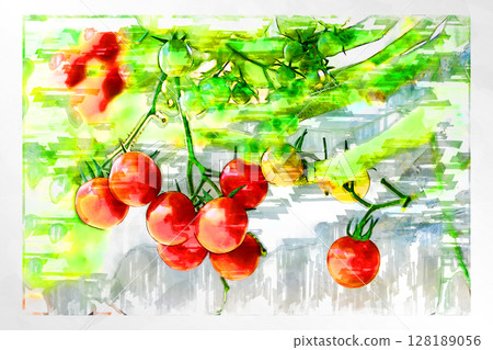 Illustration Illustration style Tomato Cherry tomato Mini tomato Fruit tomato Handmade Greenhouse Illustration Illustration style Tomato Cherry tomato Mini tomato Fruit tomato Handmade Greenhouse 128189056