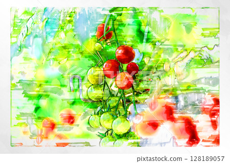 Illustration Illustration style Tomato Cherry tomato Mini tomato Fruit tomato Handmade Greenhouse 128189057