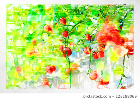 插畫 插畫風格 番茄 聖女果 迷你番茄 水果番茄 手工製作 溫室 插畫 插畫風格 番茄 聖女果 迷你番茄 水果番茄 手工製作 溫室 128189069