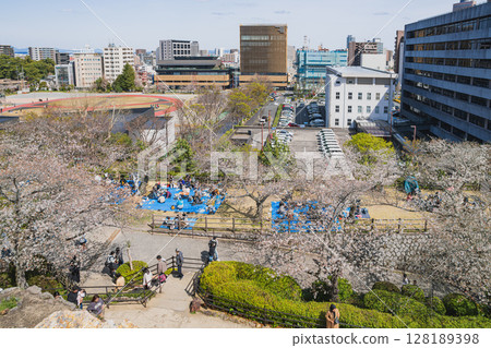 濱松市(靜岡縣)濱松城周圍的櫻花景色 濱松市(靜岡縣)濱松城周圍的櫻花景色 128189398