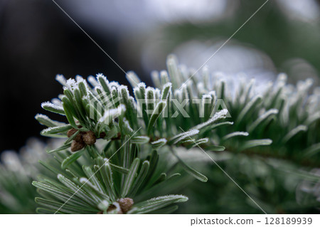frost-covered pine needles in a close-up winter scene, showcasing the beauty of nature in cold weather frost-covered pine needles in a close-up winter scene, showcasing the beauty of nature in cold weather 128189939