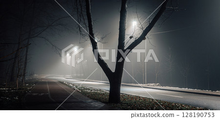 Empty Foggy Street Illuminated by Streetlights at Night Empty Foggy Street Illuminated by Streetlights at Night 128190753