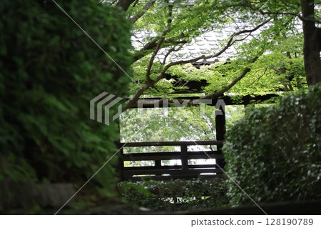 A view of the temple grounds with a corridor surrounded by green trees A view of the temple grounds with a corridor surrounded by green trees 128190789