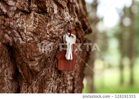 Door keys with wooden keychain in house shape on the bark of conifer tree trunk in forest. Eco home concept Door keys with wooden keychain in house shape on the bark of conifer tree trunk in forest. Eco home concept 128191355