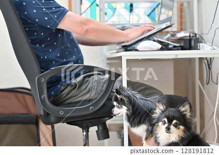 A male owner interacts with his pet dog, Chihuahua, while working on a PC 128191812