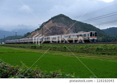 The final run of the 311 series special rapid train The final run of the 311 series special rapid train 128192043
