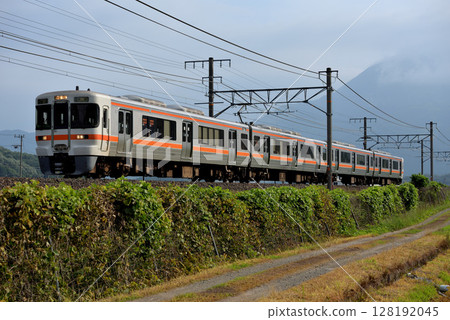 東海道線運行的普通列車313系4節車廂 128192045