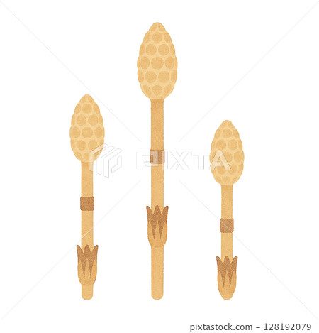 [Spring] Illustration of three horsetails / Type 2 128192079