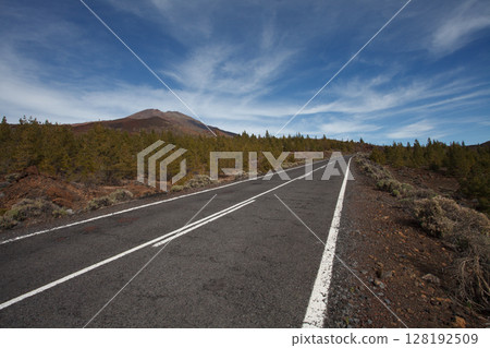 Empty road, tree and blue sky, Tenerife landscape 128192509