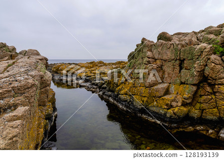 Coast line of sea. Stones covered with yellow and green moss and cloudy sky. Coast line of sea. Stones covered with yellow and green moss and cloudy sky. 128193139