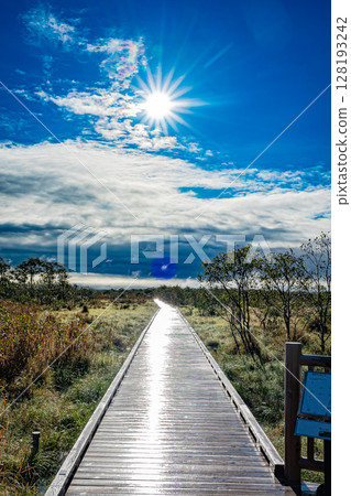 北海道釧路濕原的秋天 128193242