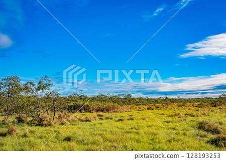 Autumn in Kushiro Marsh, Hokkaido 128193253