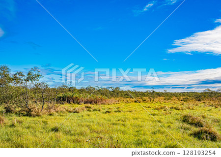 Autumn in Kushiro Marsh, Hokkaido 128193254