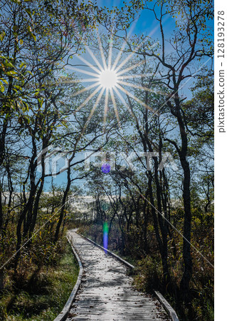 Autumn in Kushiro Marsh, Hokkaido 128193278