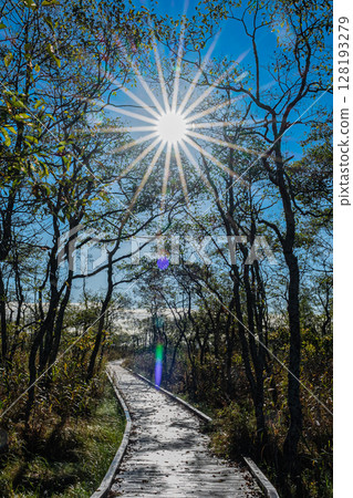 Autumn in Kushiro Marsh, Hokkaido 128193279