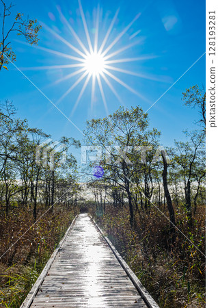 北海道釧路濕原的秋天 128193281