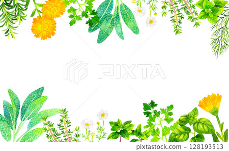 各種草藥的框架（手繪水彩插圖背景素材） 128193513