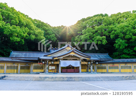 初夏的福岡縣護國神社，福岡縣福岡市 128193595