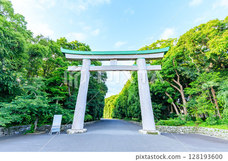 Fukuoka Prefectural Gokoku Shrine in early summer, Fukuoka City, Fukuoka Prefecture 128193600
