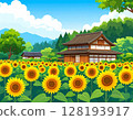 Summer landscape illustration of a sunflower field and a Japanese house 128193917