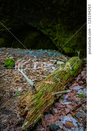 北海道支笏湖苔蘚走廊 北海道支笏湖苔蘚走廊 128194263