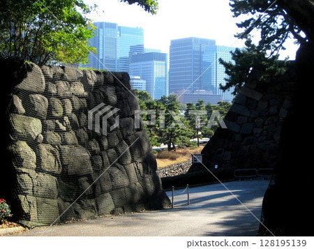 皇居東御苑 江戶城 汐見坂 皇居東御苑 江戶城 汐見坂 128195139