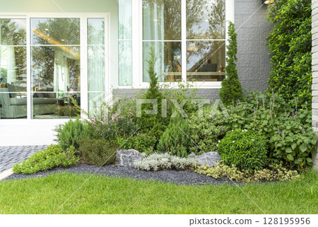 Spring garden at home. Terrace with green plants and trees in small garden. Cozy garden corner with houseplants in pots. Exterior Autumn backyard home. 128195956