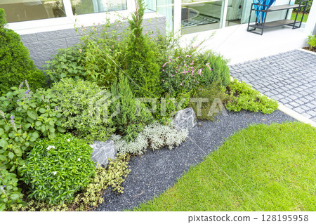 Spring garden at home. Terrace with green plants and trees in small garden. Cozy garden corner with houseplants in pots. Exterior Autumn backyard home. Spring garden at home. Terrace with green plants and trees in small garden. Cozy garden corner with houseplants in pots. Exterior Autumn backyard home. 128195958