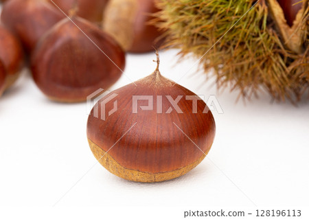 Chestnut 128196113