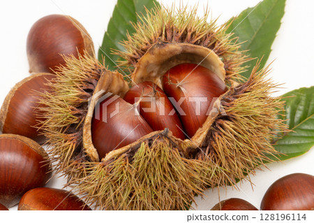 栗子 栗子 128196114