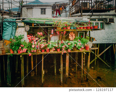 Traditional Stilt Houses In Hong Kong Village: Colorful Weathered Structures Built On Wooden Pilings Amid Urban Surroundings And Mountain Backdrop In Southeast Asia 128197117