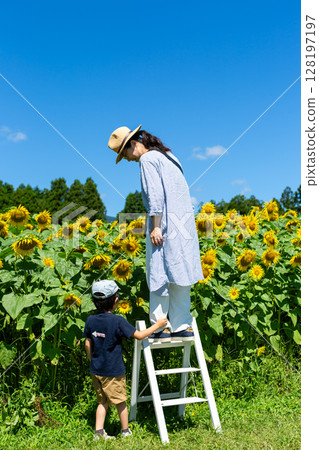 父母和孩子們在向日葵田裡玩 父母和孩子們在向日葵田裡玩 128197197