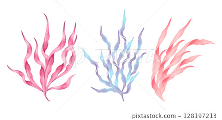 Pink, blue, peach seaweed branch. Watercolor, marker illustration. Hand drawn isolated art. Ocean botanical underwater marine flora form. Clip art for travel, cosmetology, children's design themes. 128197213
