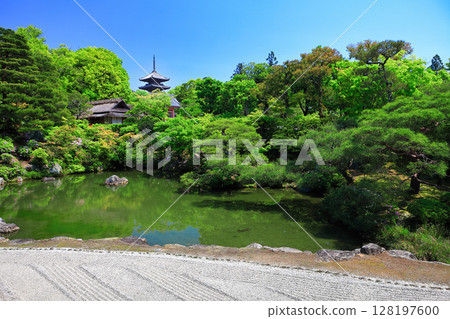 [Kyoto Prefecture] Banryoku North Garden and Five-storied Pagoda (Ninna-ji Temple) 128197600