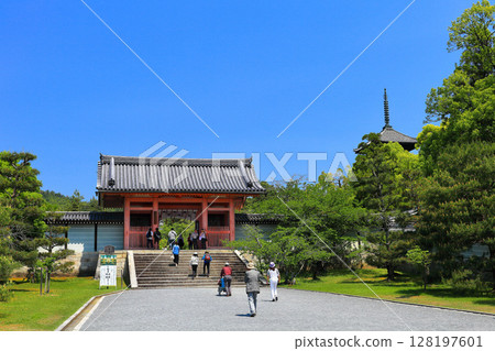 [Kyoto Prefecture] The inner gate of Ninna-ji Temple on a clear day 128197601