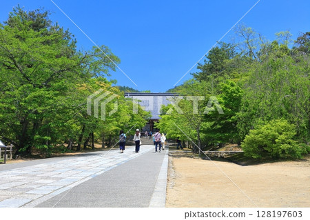 [京都府] 晴朗的日子裡的仁和寺金堂 128197603