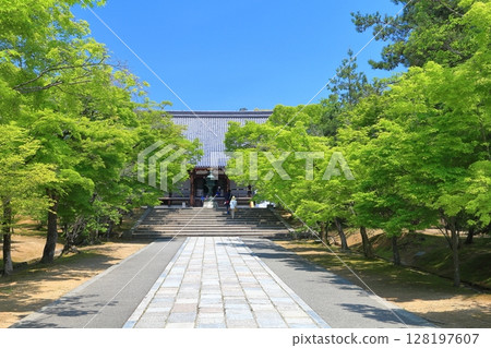 [京都府] 晴朗的日子裡的仁和寺金堂 128197607