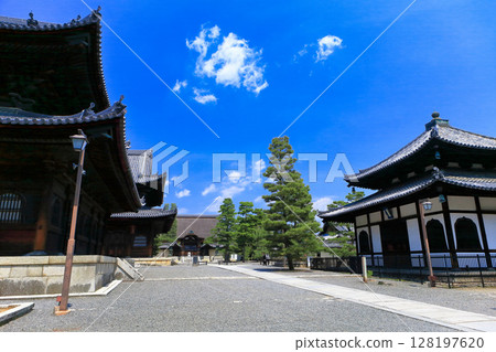 【京都府】晴天的妙心寺藏經閣和大寶殿 128197620