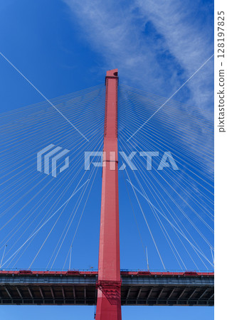 藍天下的上海楊浦大橋 128197825