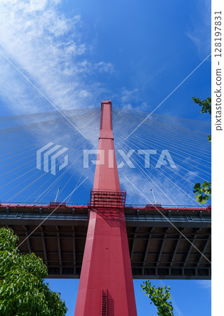 Shanghai Yangpu Bridge under the blue sky Shanghai Yangpu Bridge under the blue sky 128197831