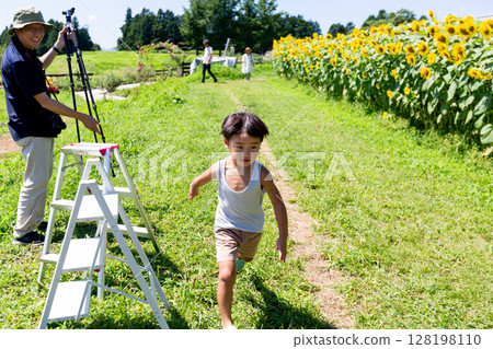 Sunflower field 128198110