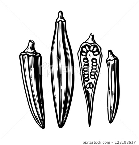 Hand drawn okra set whole and sliced okra pods, seeds detail fresh vegetable, healthy ingredient for cooking, AI Generative 128198637