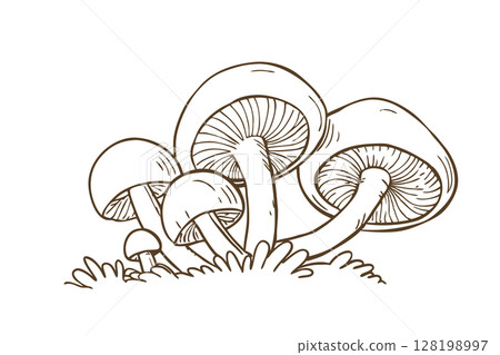 Cluster of wild mushrooms illustration, botanical line drawing, fungi group, nature design, organic woodland concept, AI Generative 128198997