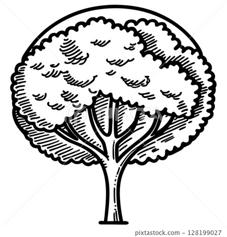 Hand drawn tree illustration with detailed foliage and trunk black and white sketch, nature and botanical concept, AI Generative Hand drawn tree illustration with detailed foliage and trunk black and white sketch, nature and botanical concept, AI Generative 128199027