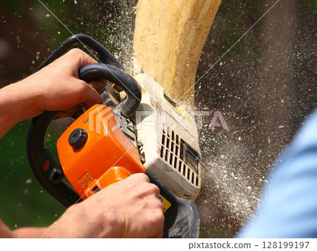Close-Up Of A Worker Using A Chainsaw To Cut Wood: A Powerful Action Shot Capturing Sawdust Flying As The Blade Slices Through A Log In An Outdoor Setting. 128199197