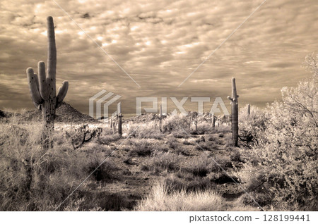 San Tan Mountains Sonora Desert Arizona in Infrared San Tan Mountains Sonora Desert Arizona in Infrared 128199441